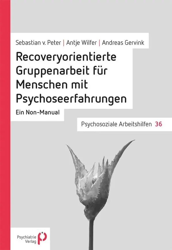 Cover: 9783884145661 | Recoveryorientierte Gruppenarbeit für Menschen mit Psychoseerfahrungen