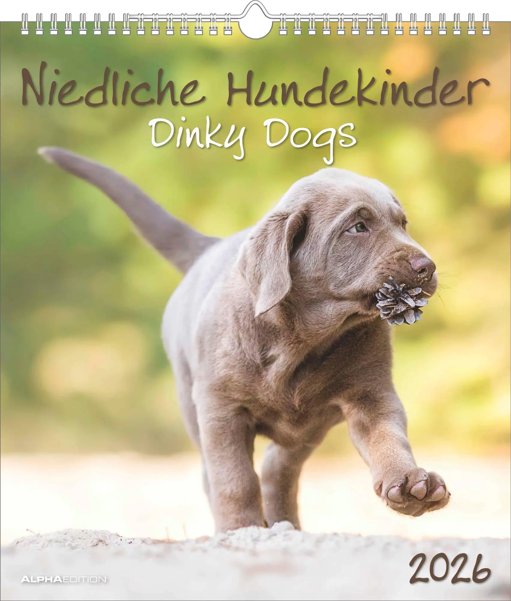 Cover: 4069095005761 | Niedliche Hundekinder 2026 - Wand-Kalender - Tier-Kalender - 30x34