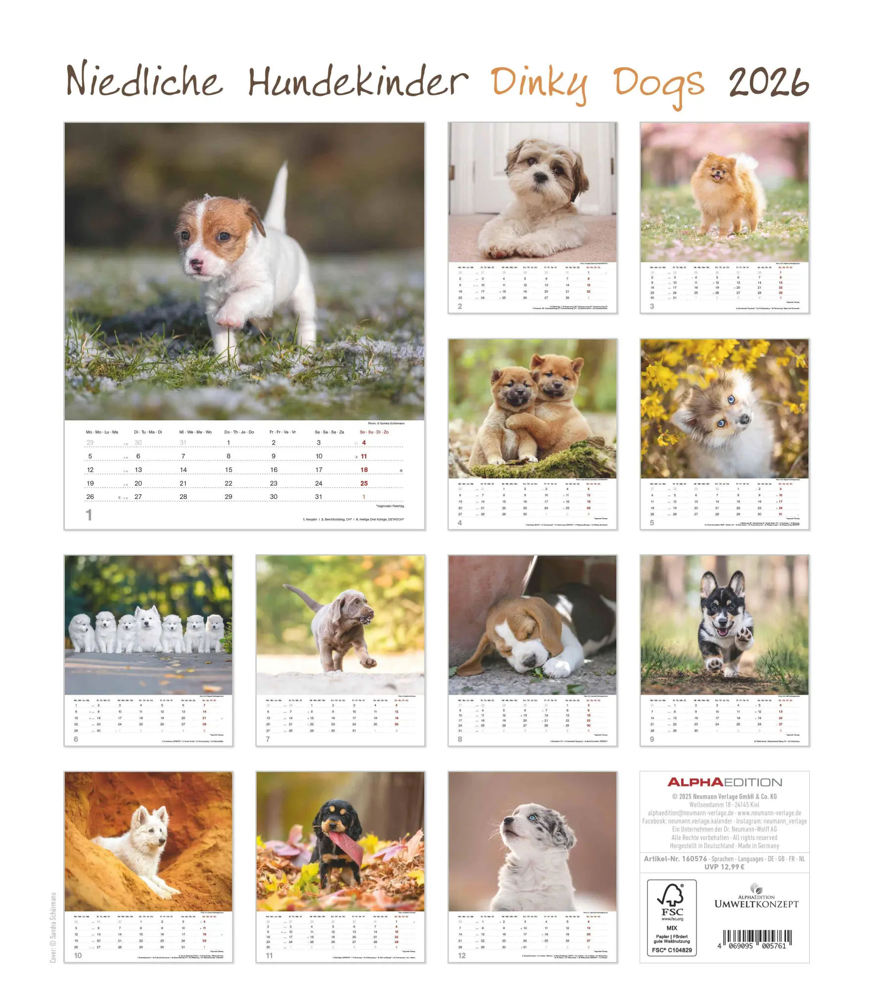 Rückseite: 4069095005761 | Niedliche Hundekinder 2026 - Wand-Kalender - Tier-Kalender - 30x34