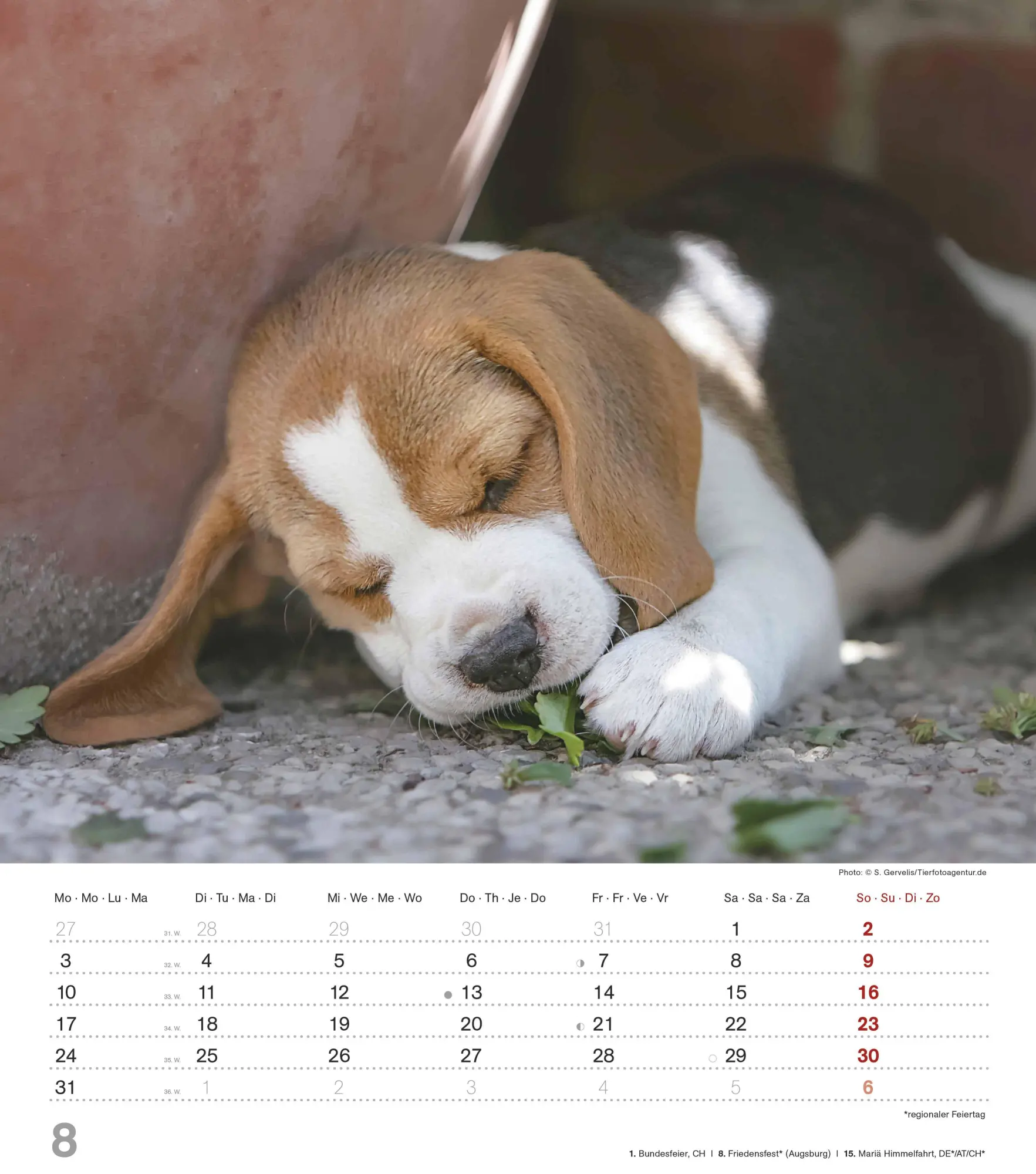 Bild: 4069095005761 | Niedliche Hundekinder 2026 - Wand-Kalender - Tier-Kalender - 30x34