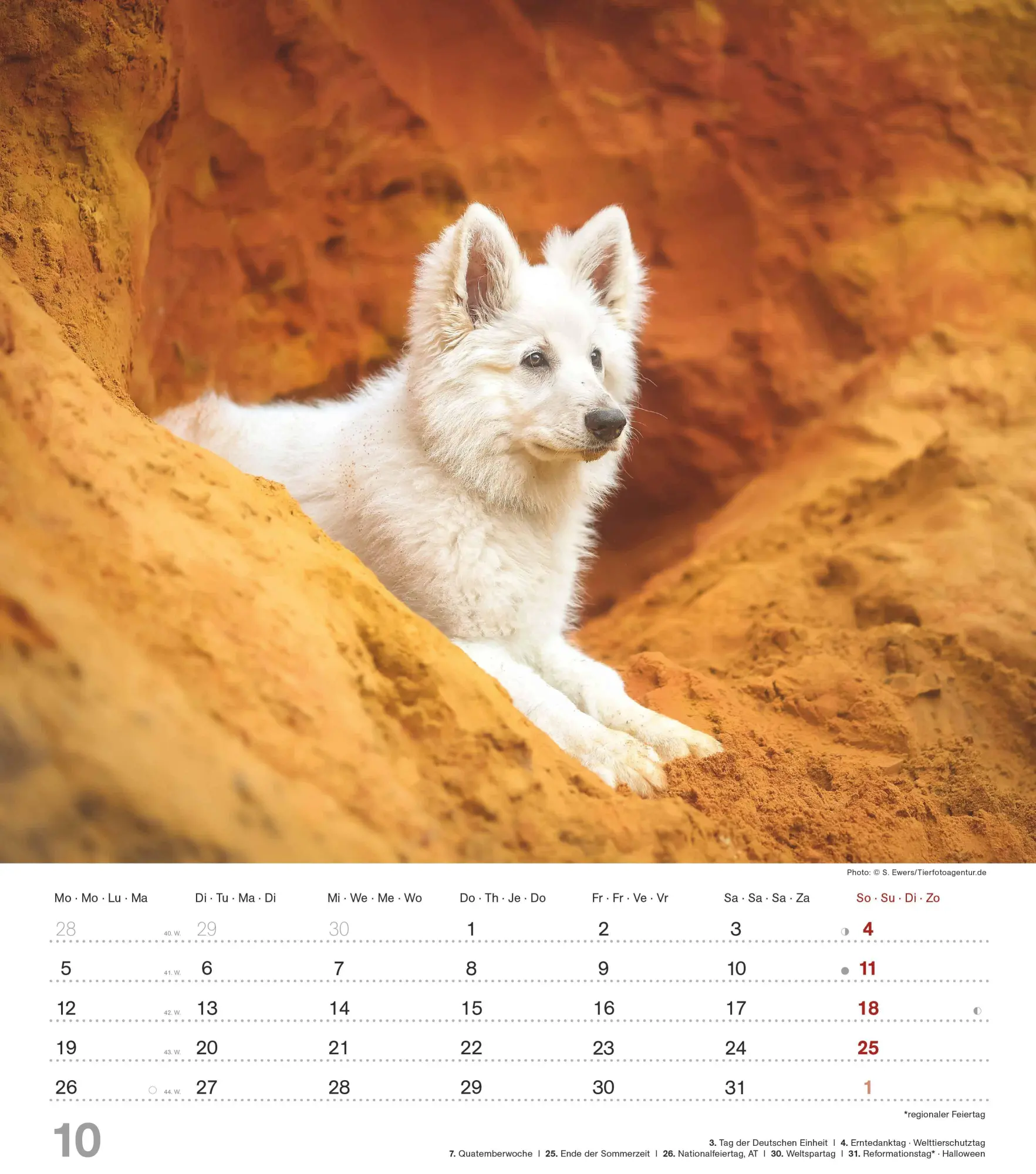 Bild: 4069095005761 | Niedliche Hundekinder 2026 - Wand-Kalender - Tier-Kalender - 30x34