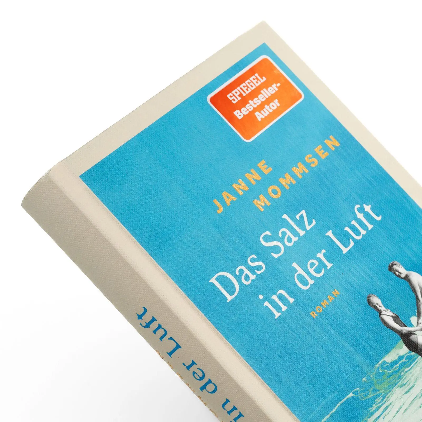 Bild: 9783499015861 | Das Salz in der Luft | Janne Mommsen | Buch | 352 S. | Deutsch | 2026