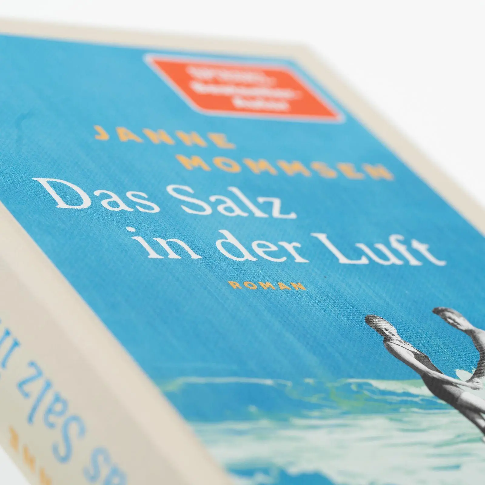 Bild: 9783499015861 | Das Salz in der Luft | Janne Mommsen | Buch | 352 S. | Deutsch | 2026
