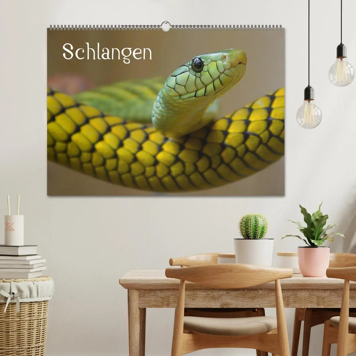 Bild: 9783516145861 | Schlangen (Wandkalender 2026 DIN A2 quer), CALVENDO Monatskalender