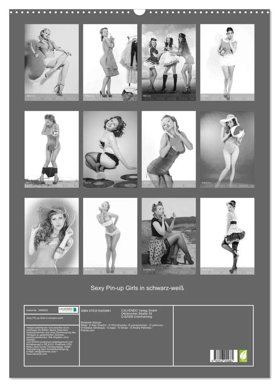 Bild: 9783516455861 | Sexy Pin-up Girls in schwarz-weiß (Wandkalender 2026 DIN A2 hoch),...
