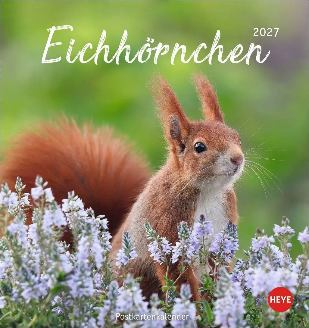 Cover: 9783756415861 | Eichhörnchen Postkartenkalender 2027 | Heye | Kalender | Spiralbindung