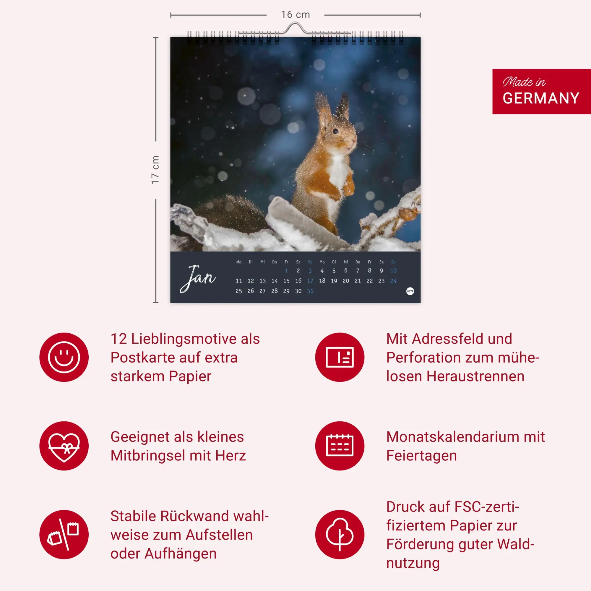 Bild: 9783756415861 | Eichhörnchen Postkartenkalender 2027 | Heye | Kalender | Spiralbindung