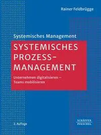 Cover: 9783791065861 | Systemisches Prozessmanagement | Rainer Feldbrügge | Taschenbuch
