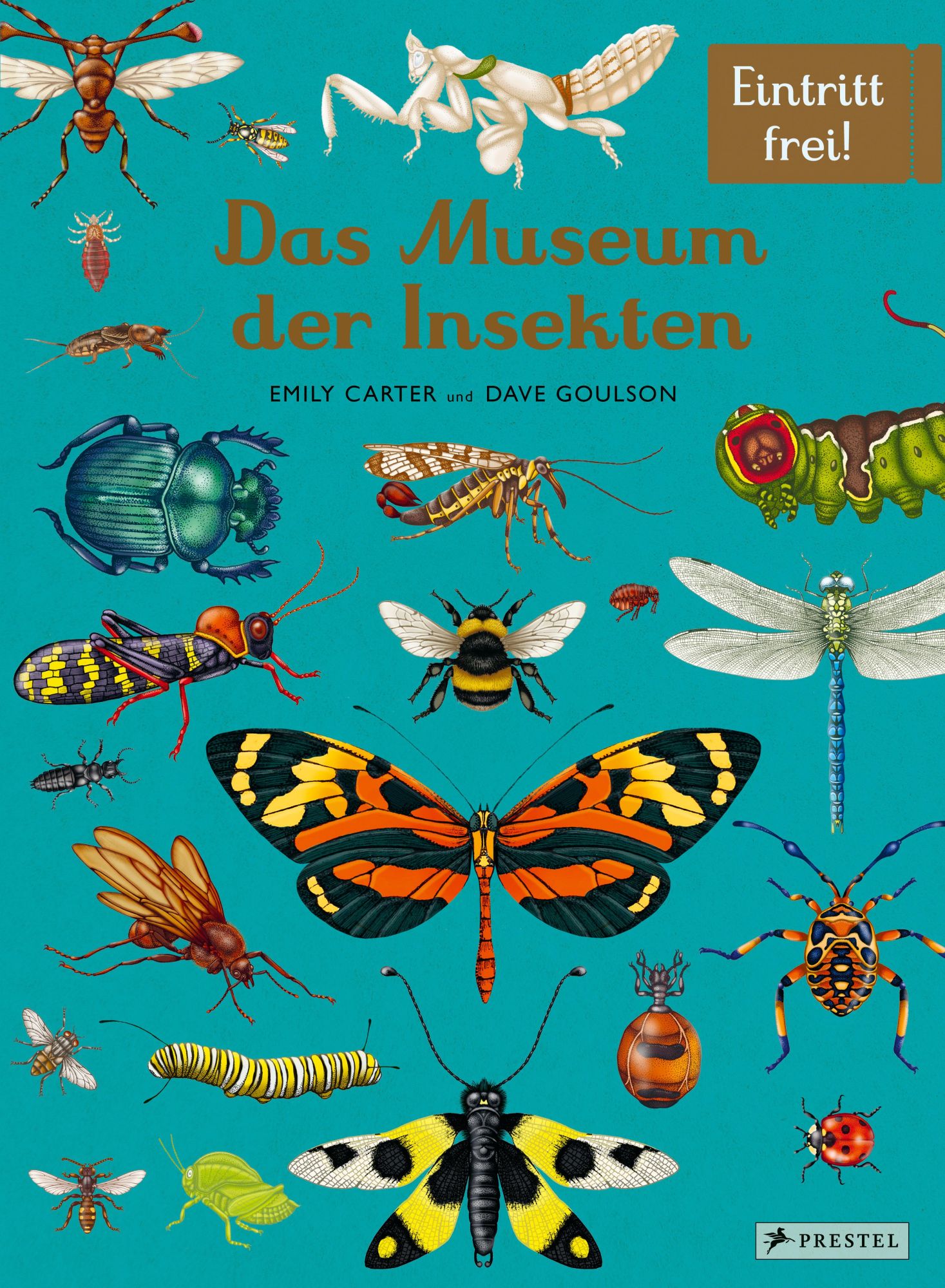 Cover: 9783791375861 | Das Museum der Insekten | Eintritt frei! | Dave Goulson (u. a.) | Buch