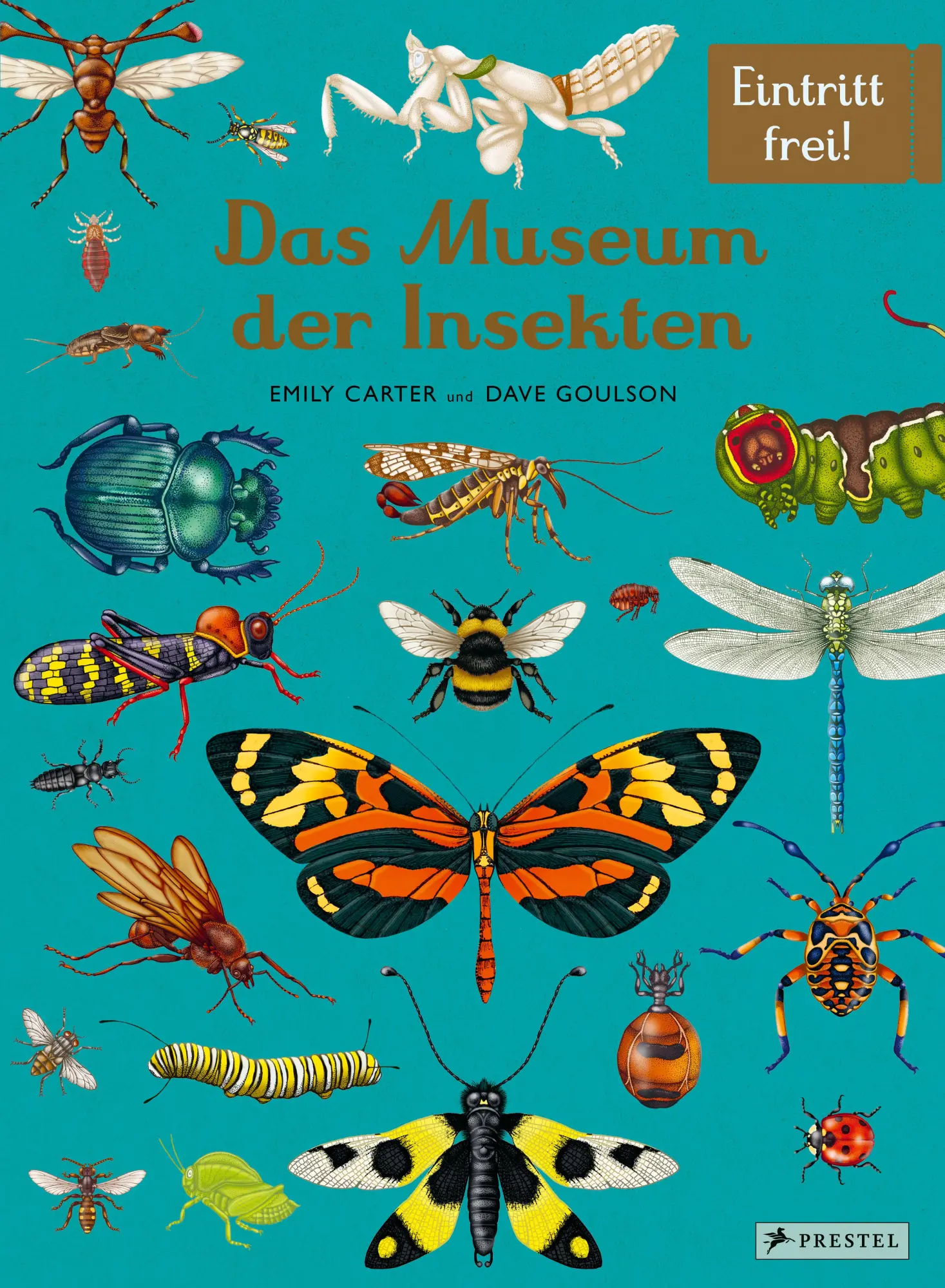 Cover: 9783791375861 | Das Museum der Insekten | Eintritt frei! | Dave Goulson (u. a.) | Buch Cover: 9783791375861 | Das Museum der Insekten | Eintritt frei! | Dave Goulson (u. a.) | Buch