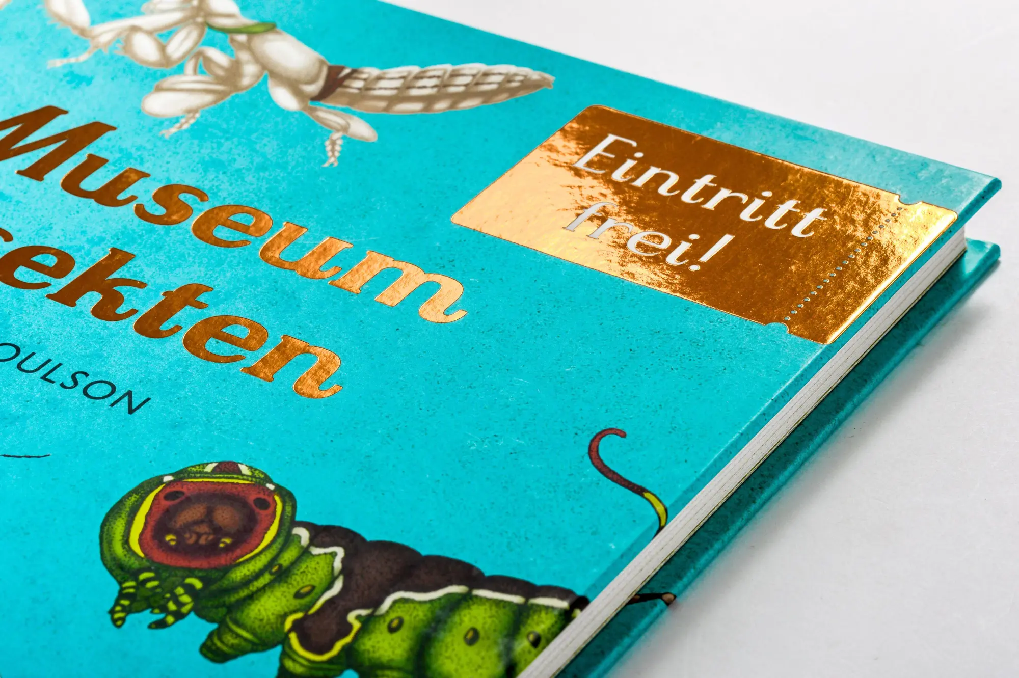 Bild: 9783791375861 | Das Museum der Insekten | Dave Goulson (u. a.) | Buch | 112 S. | 2024
