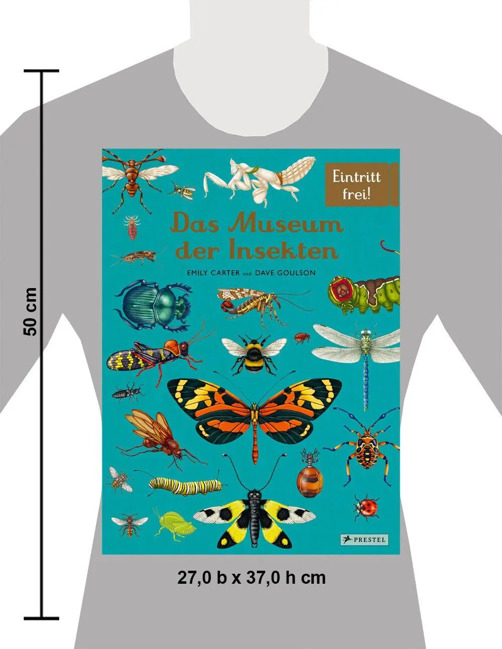 Bild: 9783791375861 | Das Museum der Insekten | Dave Goulson (u. a.) | Buch | 112 S. | 2024