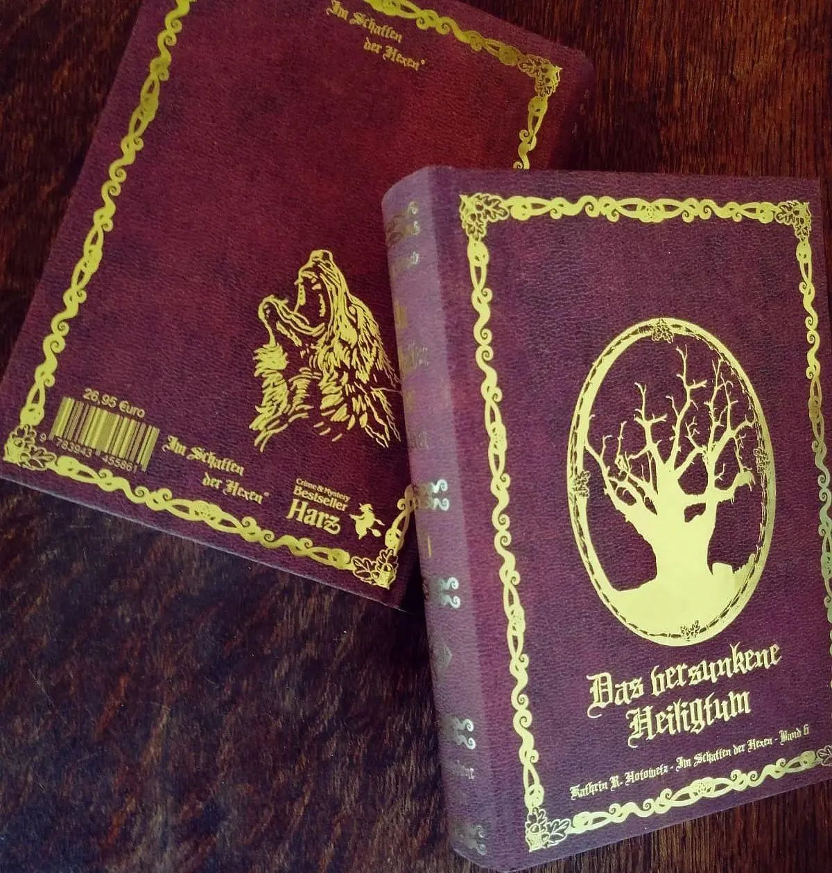 Cover: 9783943455861 | Im Schatten der Hexen VI | Kathrin R. Hotowetz | Buch | 476 S. | 2026