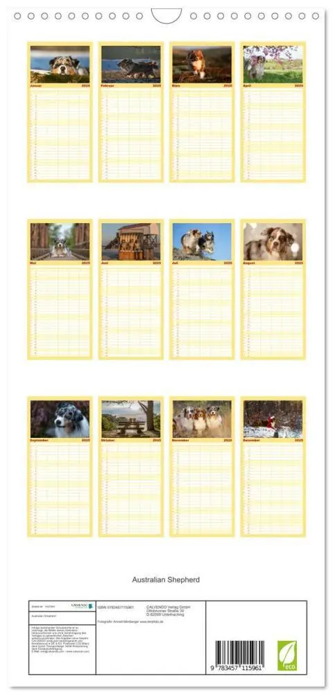 Bild: 9783457115961 | Familienplaner 2025 - Australian Shepherd mit 5 Spalten...