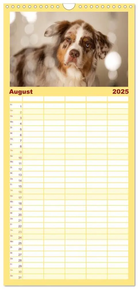 Bild: 9783457115961 | Familienplaner 2025 - Australian Shepherd mit 5 Spalten...