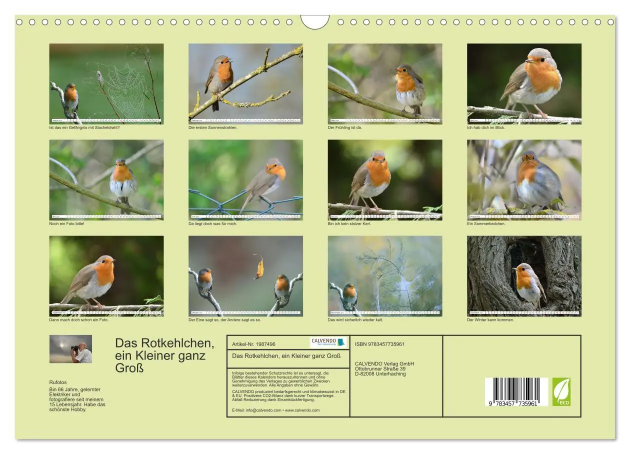 Bild: 9783457735961 | Das Rotkehlchen, ein Kleiner ganz Groß (Wandkalender 2026 DIN A3...