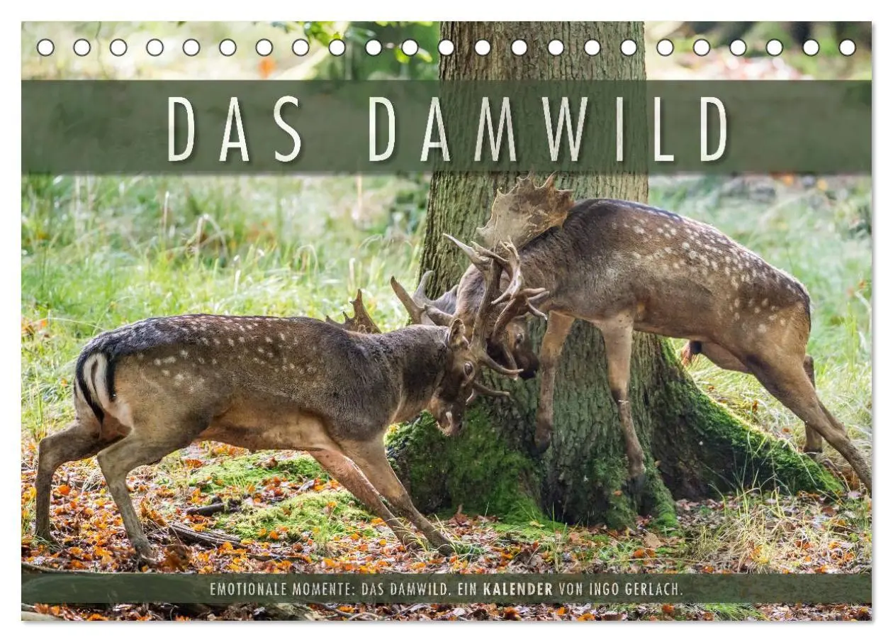 Cover: 9783516065961 | Emotionale Momente: Das Damwild. (Tischkalender 2026 DIN A5 quer),...