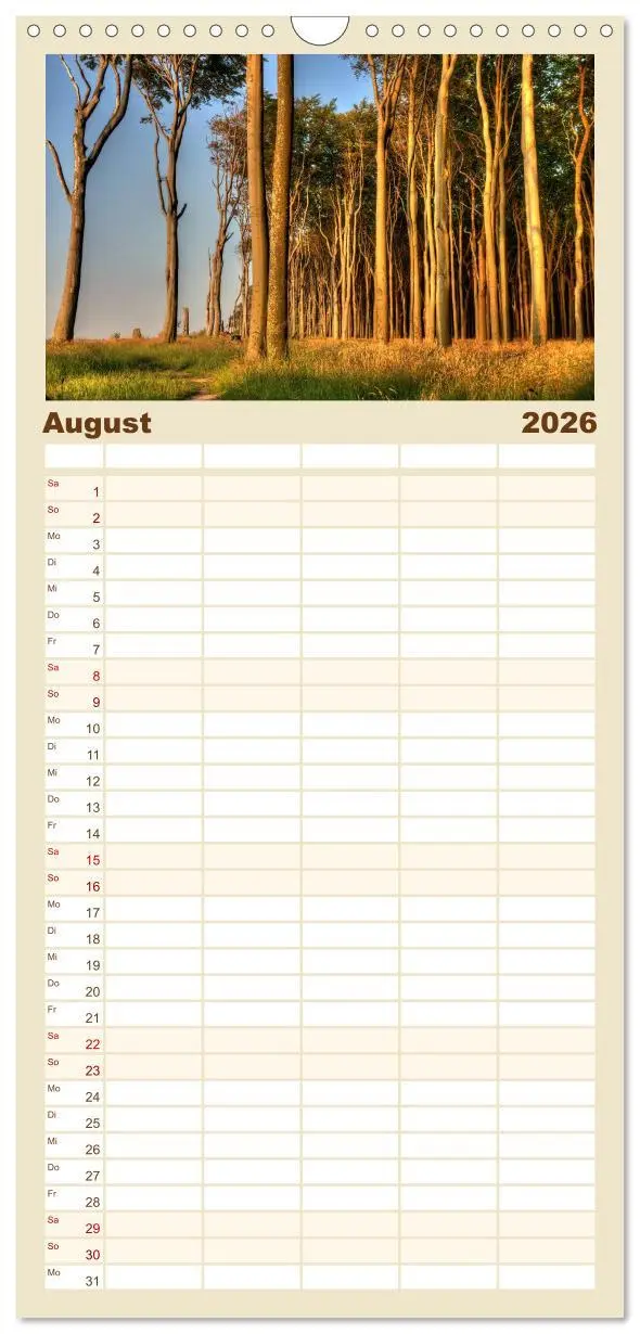 Bild: 9783516515961 | Familienplaner 2026 - Meine Ostsee mit 5 Spalten (Wandkalender, 21...
