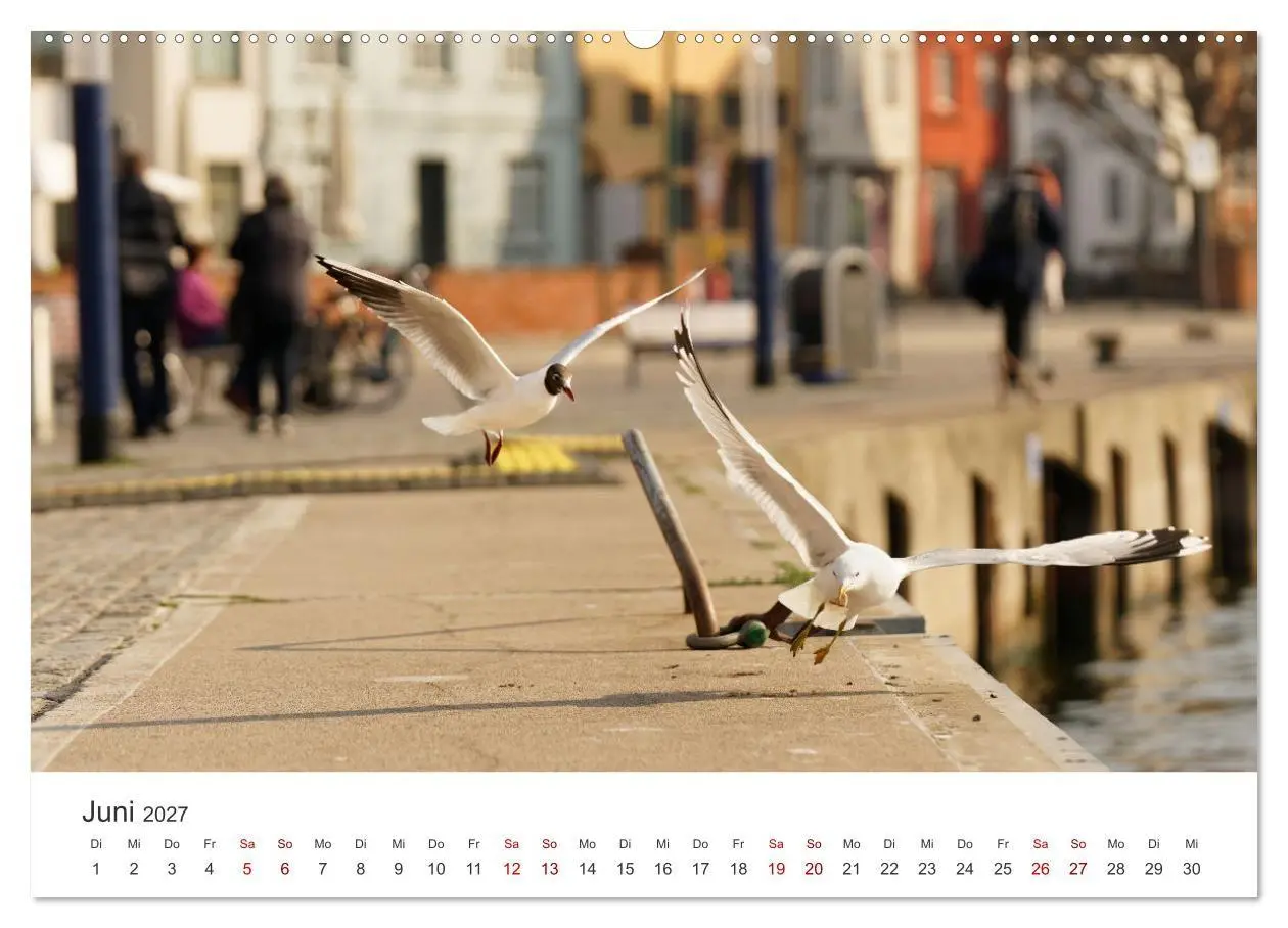 Bild: 9783569395961 | Unser schönes Wismar (hochwertiger Premium Wandkalender 2027 DIN A2...