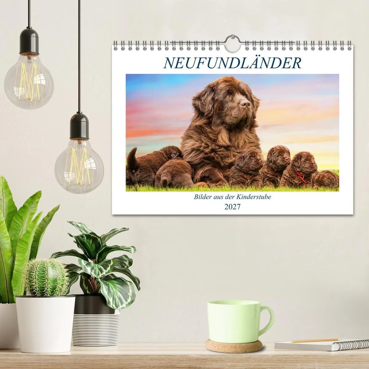 Bild: 9783569465961 | Neufundländer - Bilder aus der Kinderstube (Wandkalender 2027 DIN...