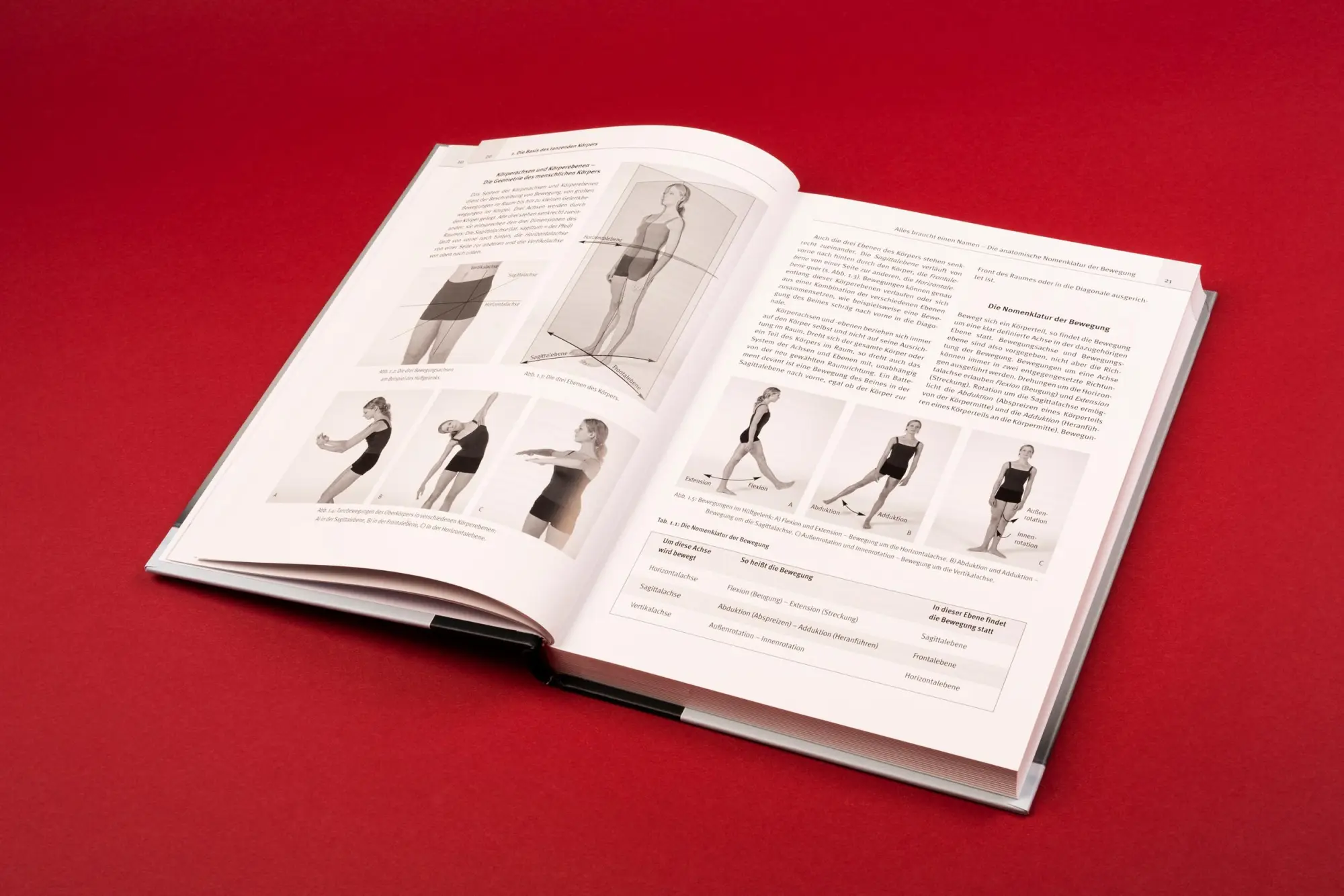 Bild: 9783894875961 | Tanzmedizin in der Praxis | Anatomie, Prävention, Trainingstipps