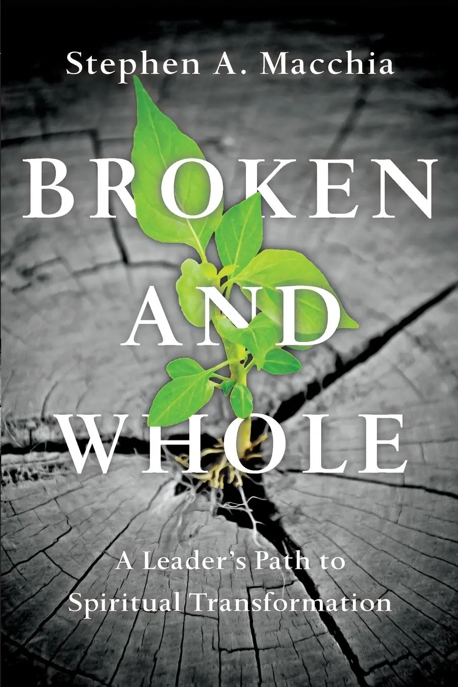 Cover: 9780830846061 | Broken and Whole | A Leader's Path to Spiritual Transformation | Buch