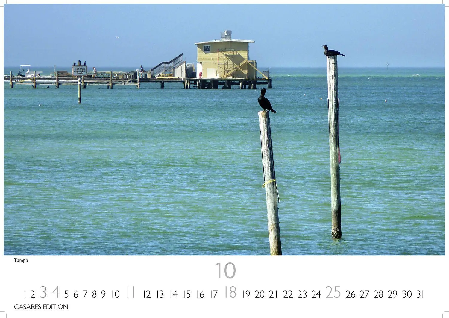 Bild: 9781835246061 | Florida Kalender 2026 - Wandkalender Fotokalender Nordamerika...