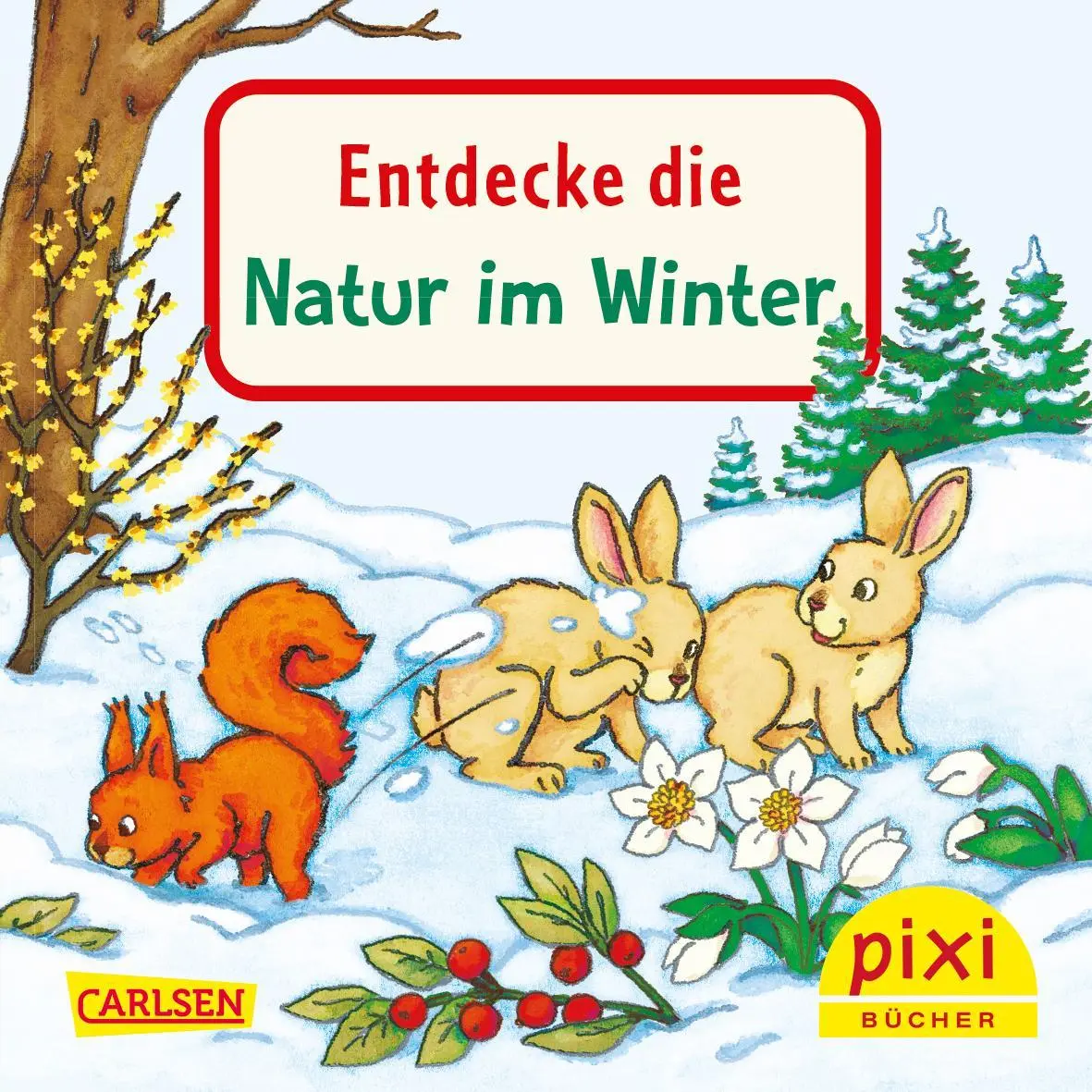 Bild: 9783551056061 | Pixi "Entdecke" Adventskalender | Diverse | Box | 576 S. | Deutsch