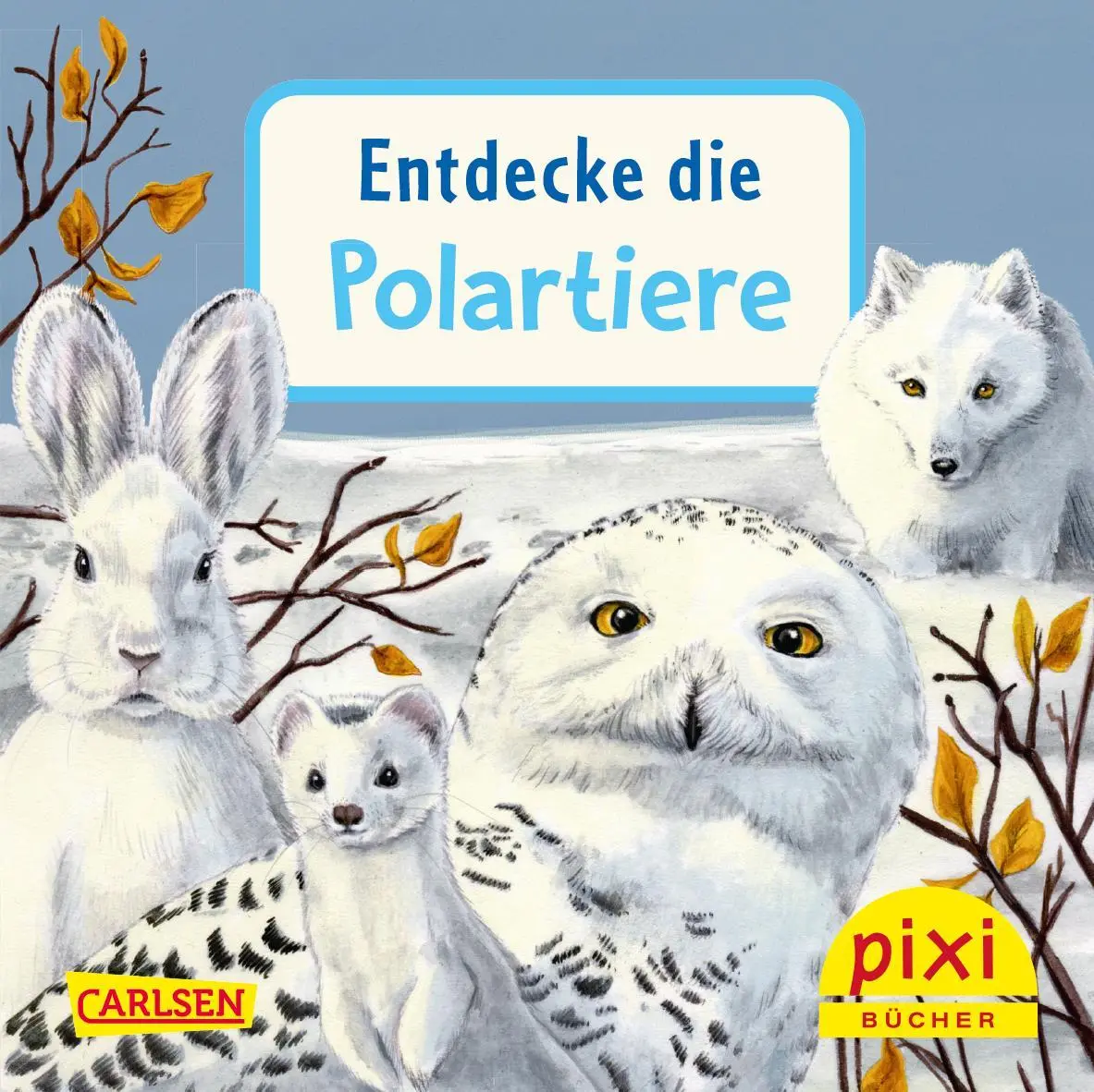 Bild: 9783551056061 | Pixi "Entdecke" Adventskalender | Diverse | Box | 576 S. | Deutsch