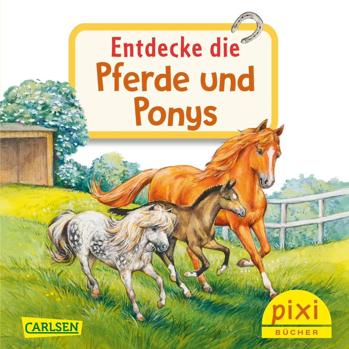 Bild: 9783551056061 | Pixi "Entdecke" Adventskalender | Diverse | Box | 576 S. | Deutsch