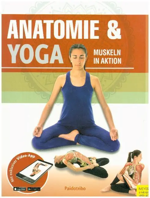 Cover: 9783840376061 | Anatomie & Yoga | Muskeln in Aktion | Paidotribo | Taschenbuch | 2018 Cover: 9783840376061 | Anatomie & Yoga | Muskeln in Aktion | Paidotribo | Taschenbuch | 2018