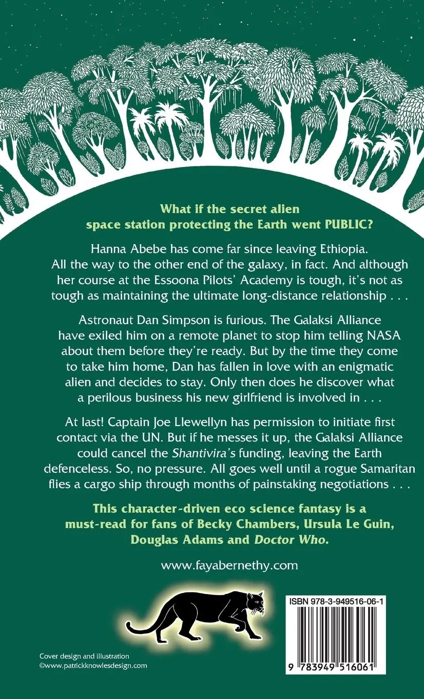 Rückseite: 9783949516061 | Learning to Fly Alien Spacecraft | Fay Abernethy | Buch | Englisch