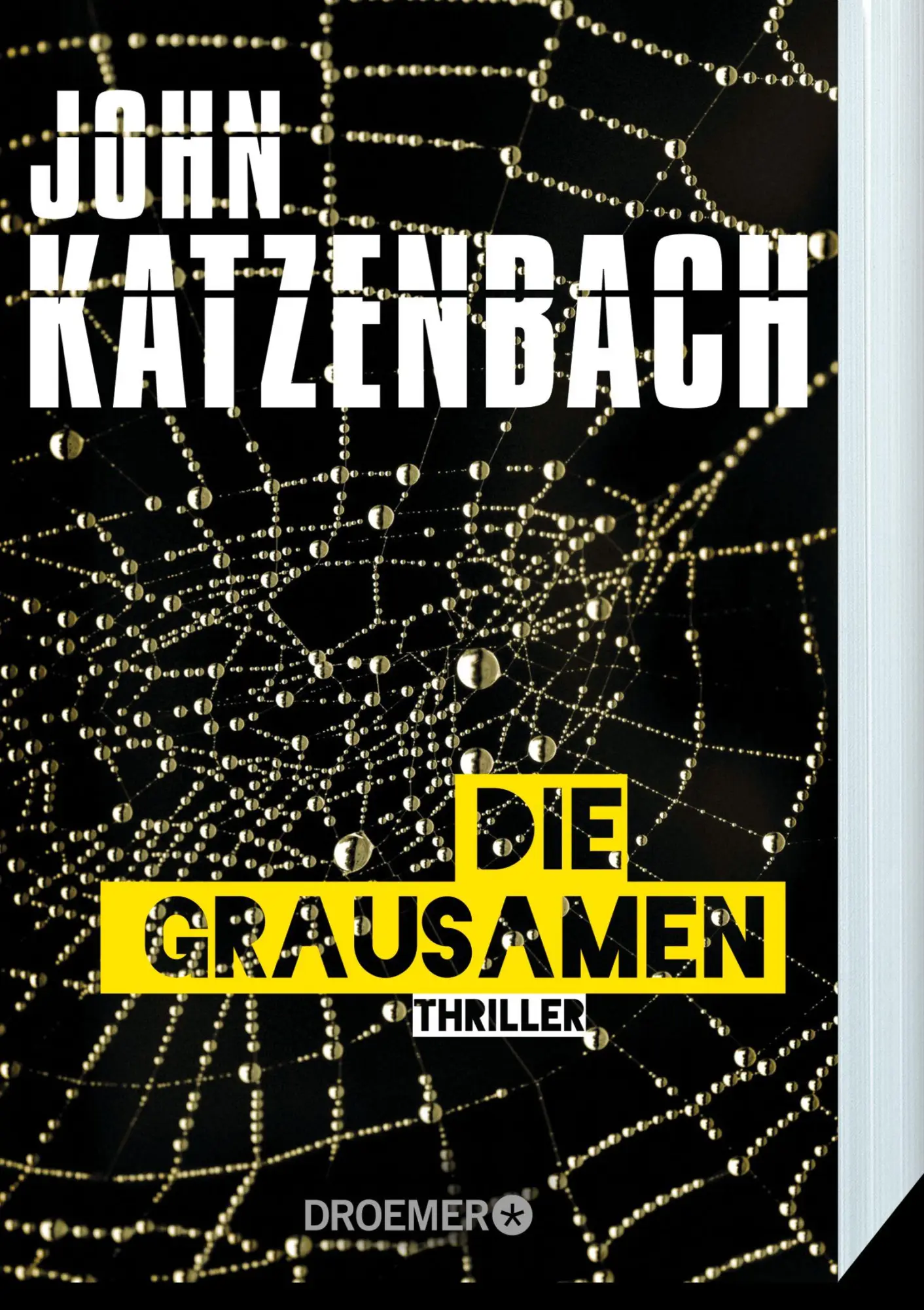 Bild: 9783426306161 | Die Grausamen | Thriller | John Katzenbach | Taschenbuch | 576 S.