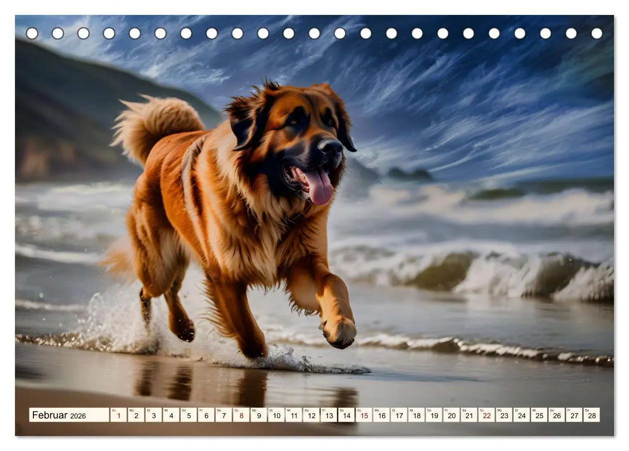 Bild: 9783457306161 | Leonberger - der zahme Löwe (Tischkalender 2026 DIN A5 quer),...