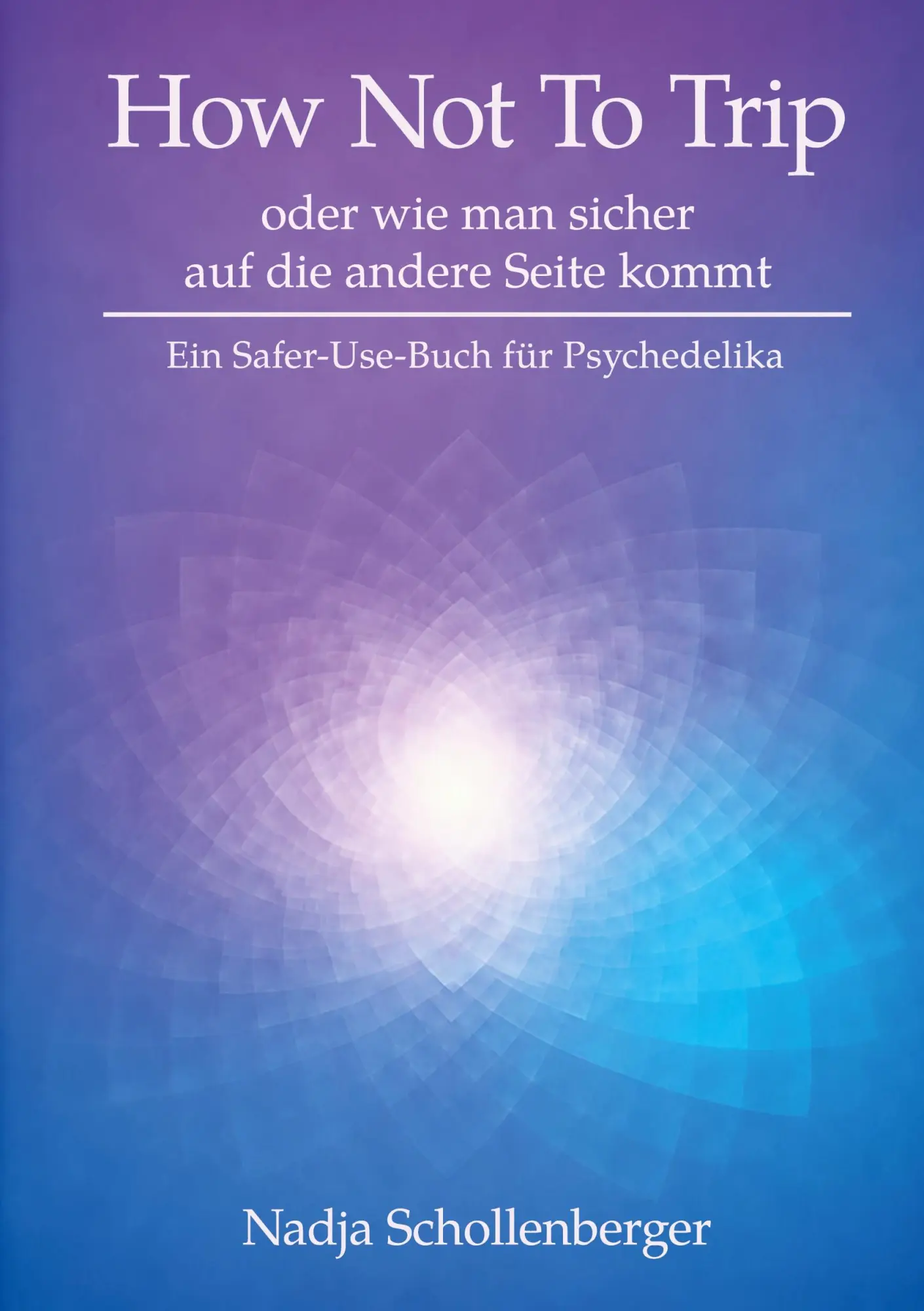Cover: 9783696376161 | How Not To Trip | oder wie man sicher auf die andere Seite kommt