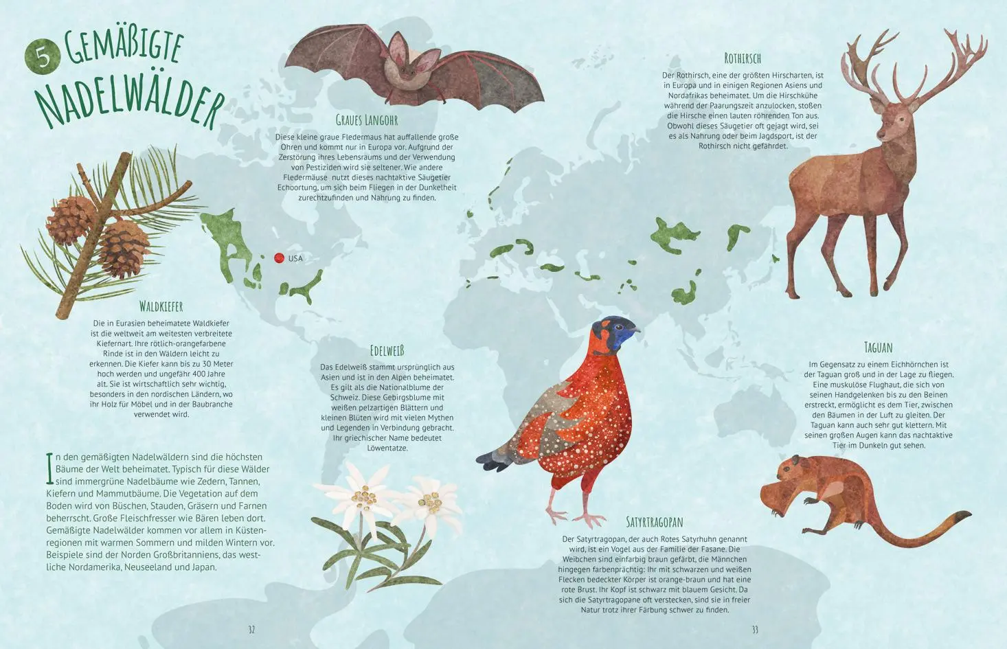 Bild: 9783788676261 | Biome der Welt | Juliana Aschwanden-Vilaça | Buch | 96 S. | Deutsch