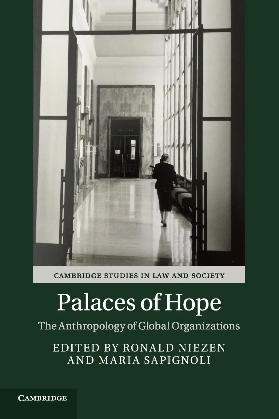 Cover: 9781107566361 | Palaces of Hope | Ronald Niezen (u. a.) | Taschenbuch | Englisch
