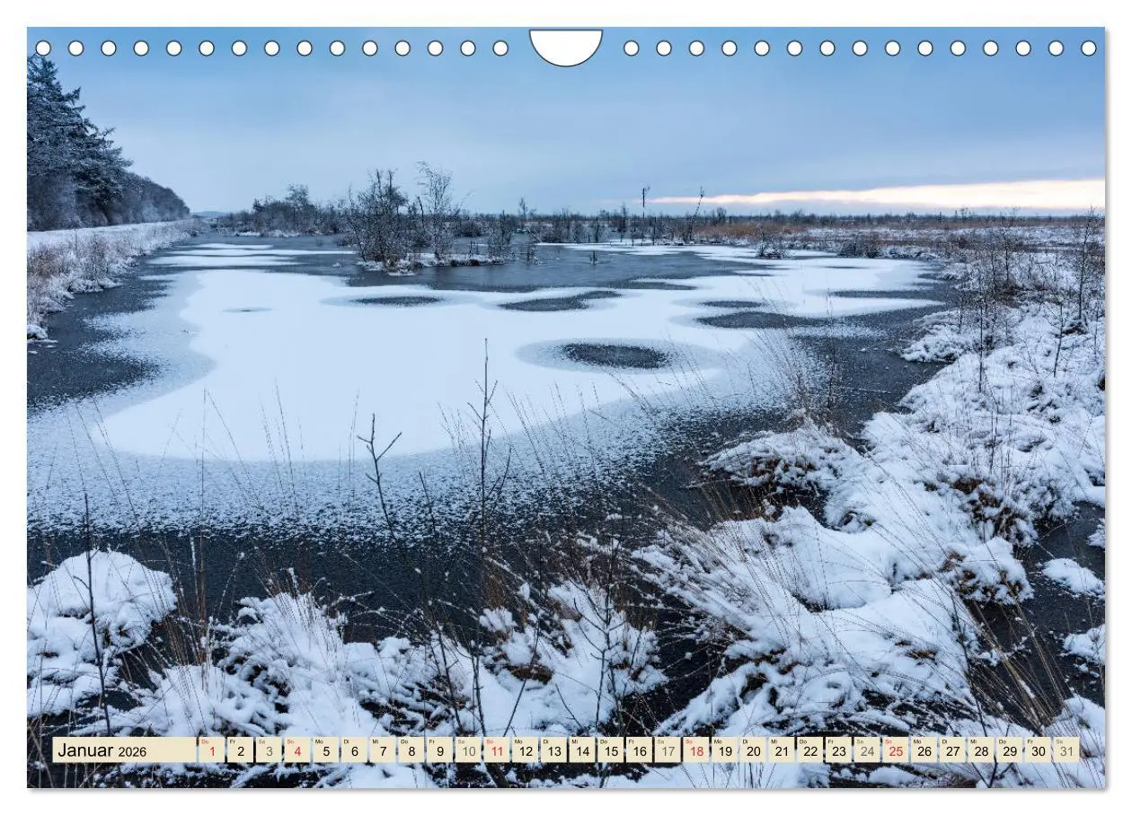 Bild: 9783457766361 | Niedersachsens Natur (Wandkalender 2026 DIN A4 quer), CALVENDO...