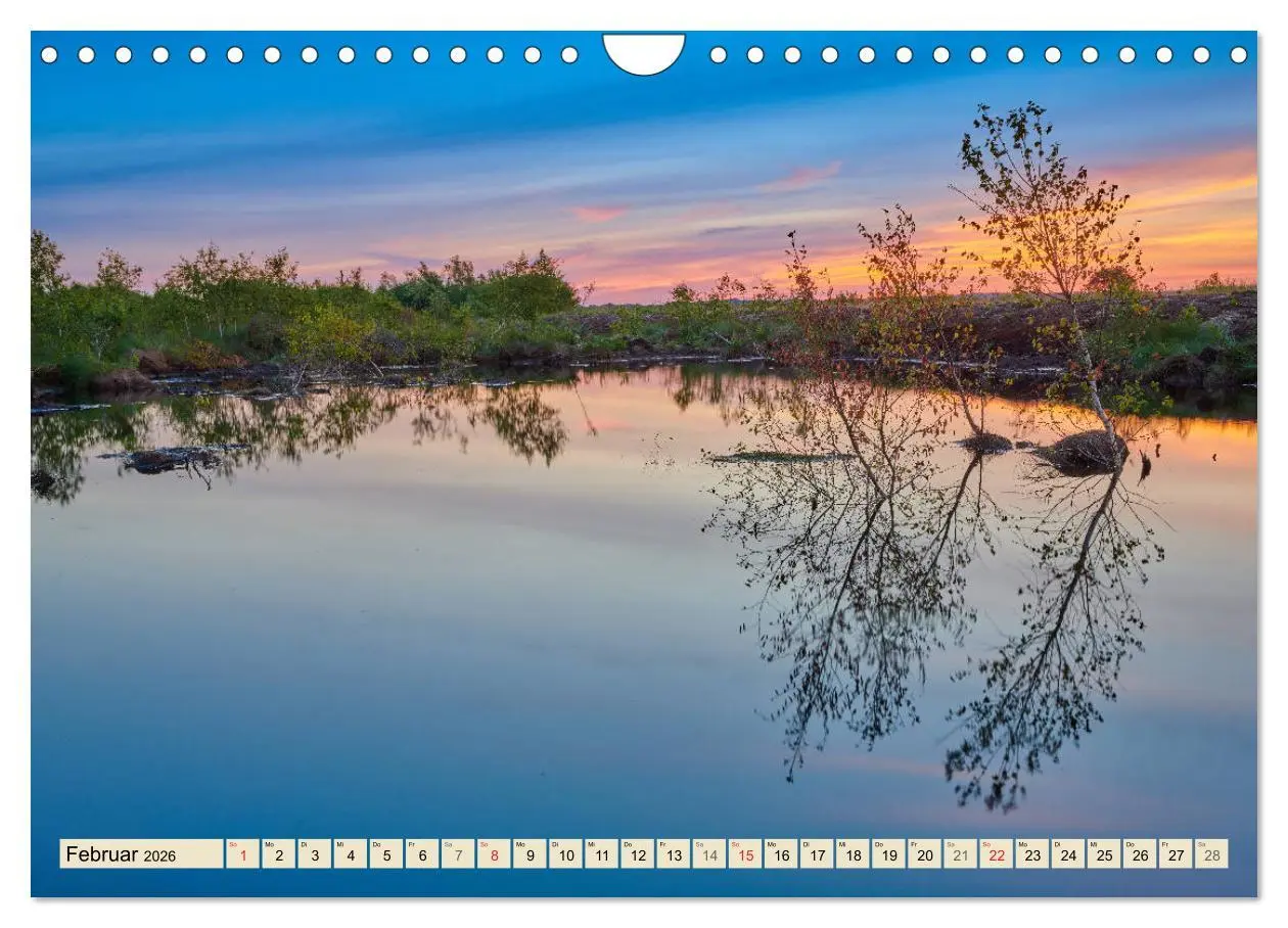 Bild: 9783457766361 | Niedersachsens Natur (Wandkalender 2026 DIN A4 quer), CALVENDO...