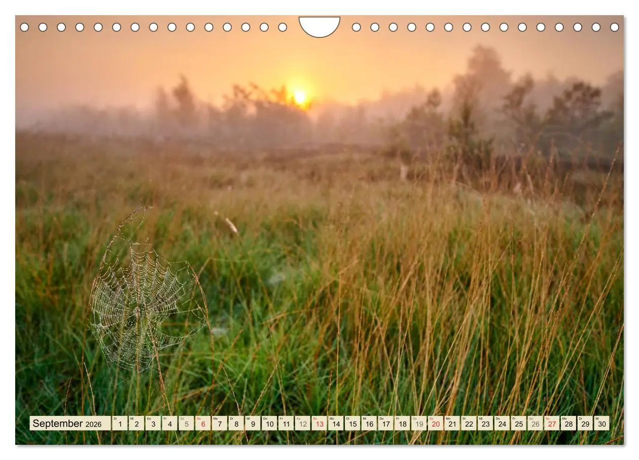 Bild: 9783457766361 | Niedersachsens Natur (Wandkalender 2026 DIN A4 quer), CALVENDO...