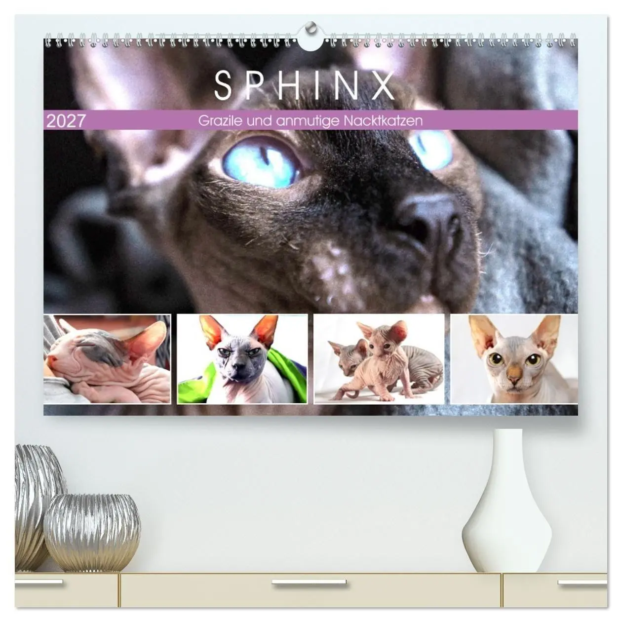 Cover: 9783569496361 | Sphinx. Grazile und anmutige Nacktkatzen (hochwertiger Premium...