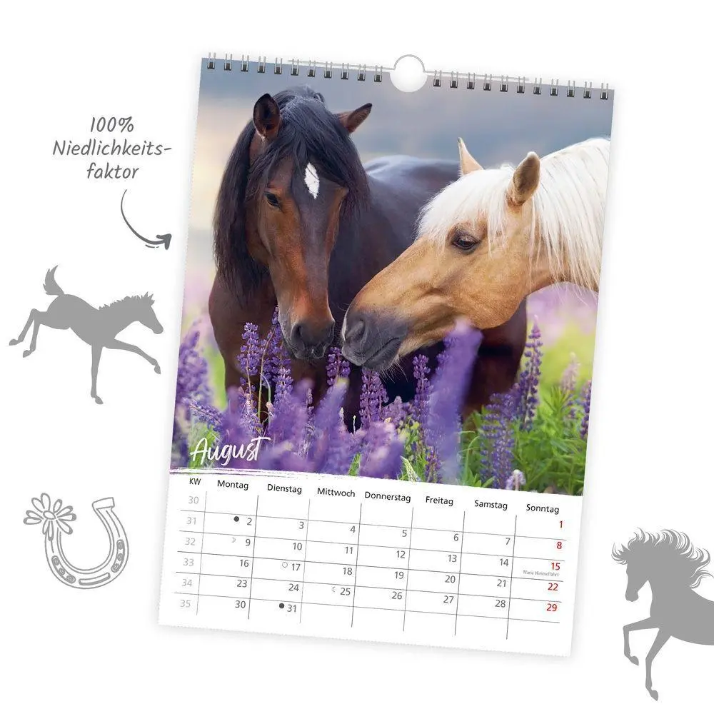 Bild: 9783988026361 | TRÖTSCH - Classickalender Pferde 2027 | Wandkalender | KG | Kalender