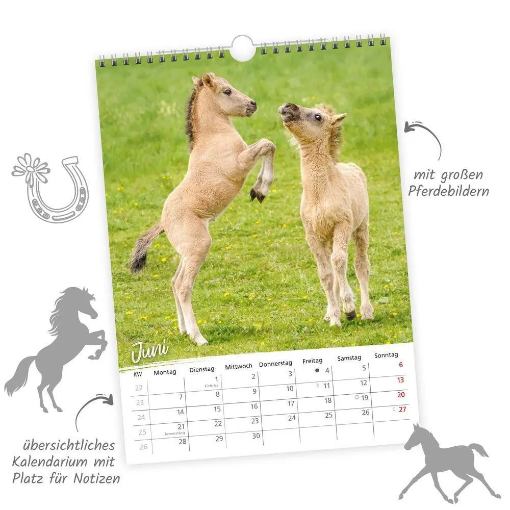 Bild: 9783988026361 | TRÖTSCH - Classickalender Pferde 2027 | Wandkalender | KG | Kalender