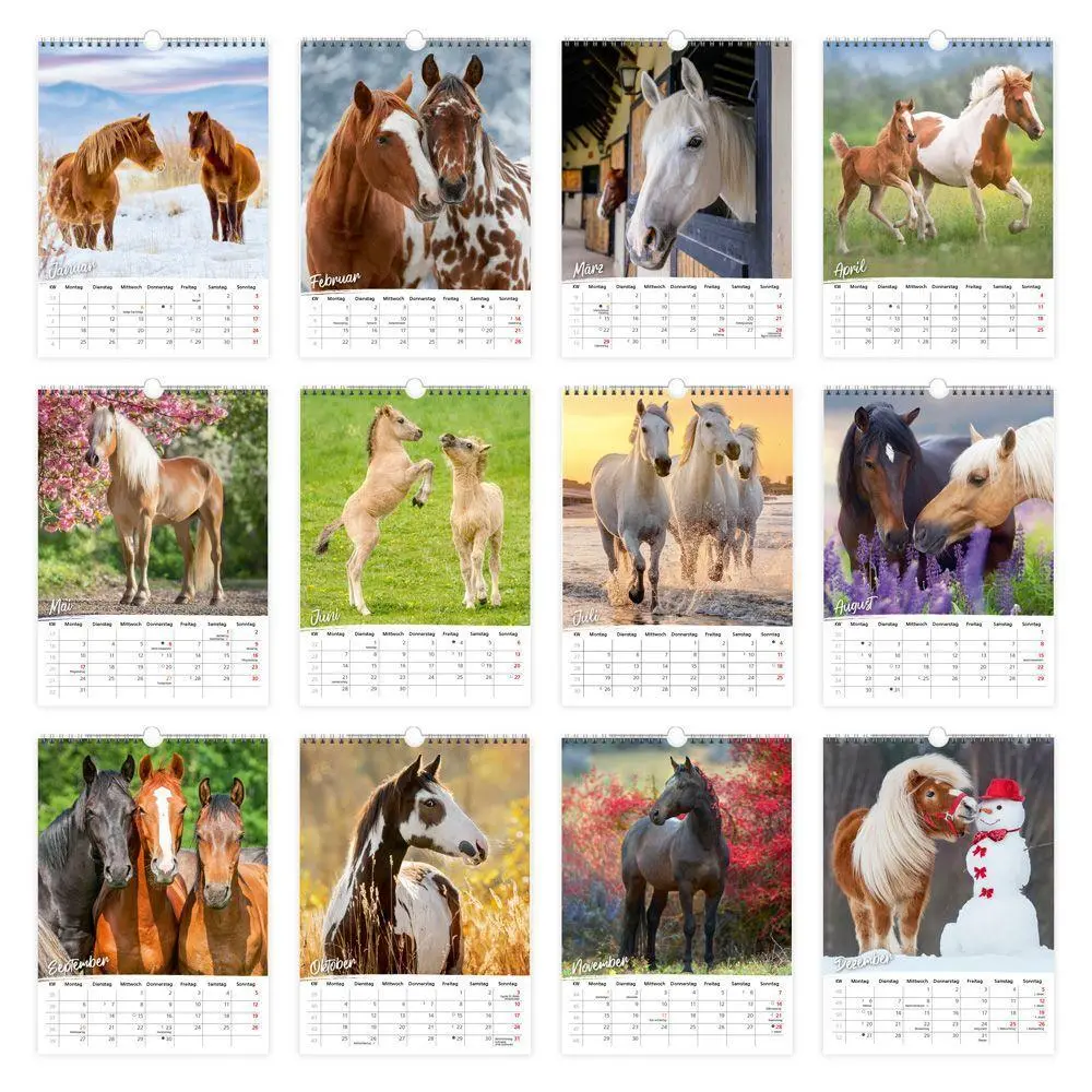 Bild: 9783988026361 | TRÖTSCH - Classickalender Pferde 2027 | Wandkalender | KG | Kalender