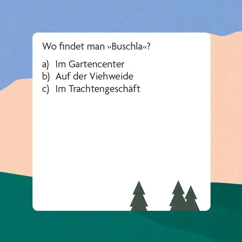 Bild: 9783747206461 | Dialekt-Quiz Österreich | Box mit 66 Spielkarten und Anleitung | Spiel