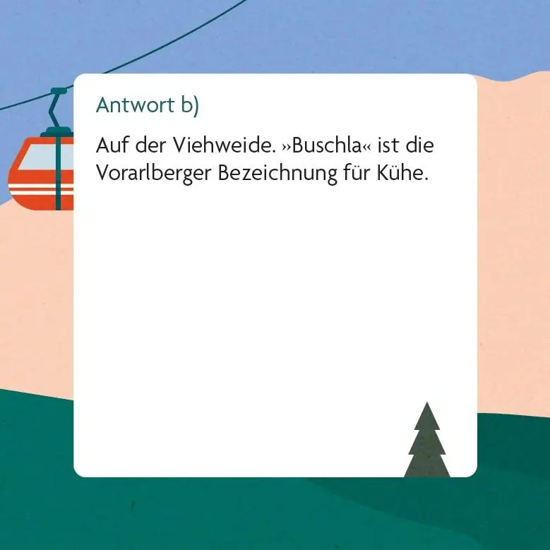Bild: 9783747206461 | Dialekt-Quiz Österreich | Box mit 66 Spielkarten und Anleitung | Spiel