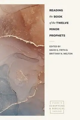 Cover: 9781683596561 | Reading the Book of the Twelve Minor Prophets | David G Firth (u. a.)