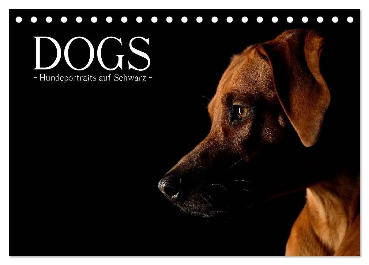 Cover: 9783516146561 | Dogs (Tischkalender 2026 DIN A5 quer), CALVENDO Monatskalender | Noack