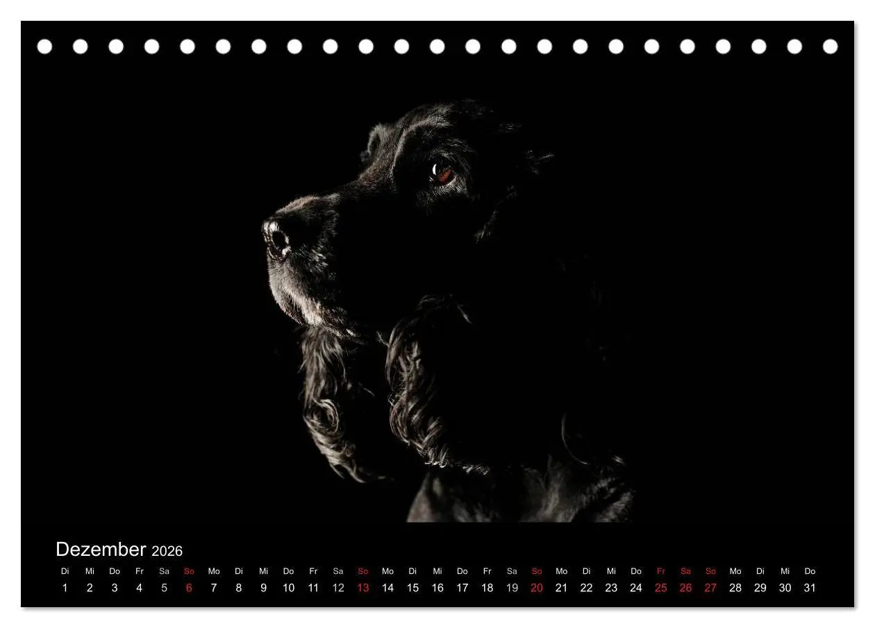 Bild: 9783516146561 | Dogs (Tischkalender 2026 DIN A5 quer), CALVENDO Monatskalender | Noack