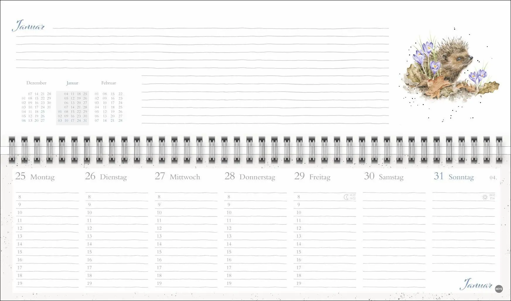 Bild: 9783756416561 | Hannah Dale : Wochenquerplaner 2027 | Hannah Dale | Kalender | 112 S.